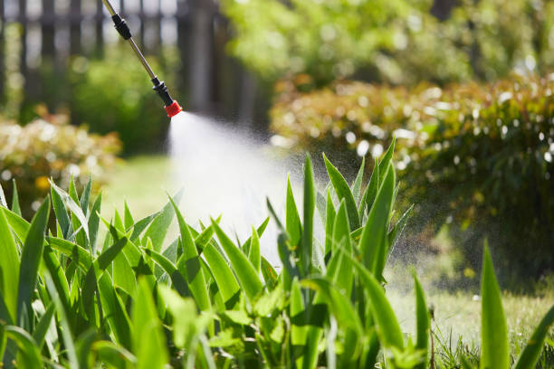 24/7 Emergency Mosquito Control experts in Emerson, GA